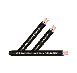 Cáp CNRTF 2X