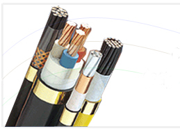 Cáp điều khiển LS Vina