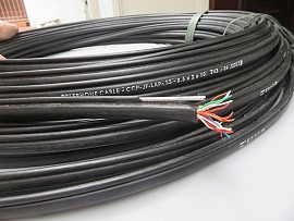 Cáp điện thoại 10 đôi