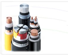Cáp điện hạ thế LS Vina Cáp điện hạ thế LS Vina