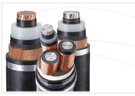 Cáp trung thế LS Vina Cáp trung thế LS Vina